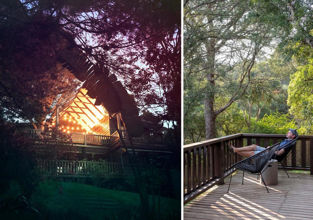 Forestchild Self Catering, The Crags 빌라 외부 사진
